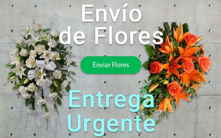 Envio de flores urgente a Tanatorio Terrassa